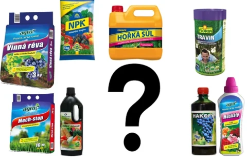 Ako vybrať správne hnojivo do záhrady? Praktický sprievodca pre zdravé rastliny a bohatú úrodu