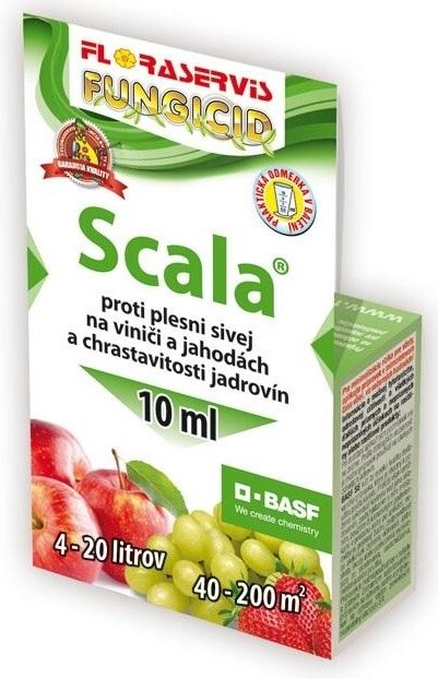 Scala -  pleseň sivá (botrytída)